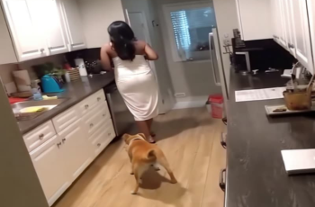 The owner recorded a shocking video that showed a housekeeper unaware she was being filmed.