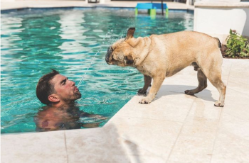 Celebrity Dogs: Superstars’ Best Friends​